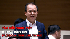 ĐBQH: ‘Người Việt đang ở đây nhưng tâm hồn bị thao túng bởi Facebook, Tiktok’ 