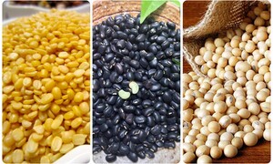 Đậu nành, đậu xanh, đậu đen có tác dụng gì?
