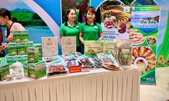 HTX ứng phó thế nào trước cơn bão hàng giá rẻ đổ bộ?