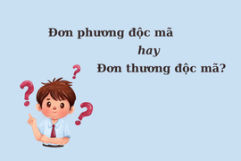 'Đơn phương độc mã' hay 'đơn thương độc mã' mới chuẩn thành ngữ