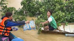 Thiệt hại hơn 500 tỷ đồng, Quảng Bình dồn lực khắc phục hậu quả sau bão
