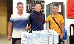 Triệt phá đường dây vận chuyển ma tuý 'ngụy trang' trong các hộp sữa từ châu Âu