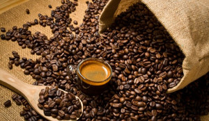 Giá cà phê hôm nay 31/10: Đồng loạt giảm mạnh