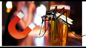 Mẹo diệt muỗi bằng bia