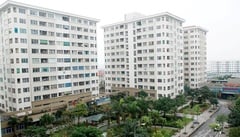 Giá thuê nhà ở xã hội Hà Nội gần bằng 1 tháng lương, người nghèo 'choáng váng'