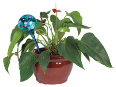 Tuyệt chiêu giúp cây cảnh tự tưới nước khi bạn vắng nhà