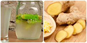 Nước đậu bắp kết hợp với gừng có tác dụng gì?