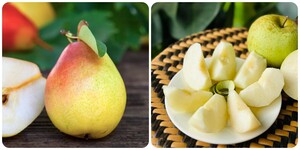 Những người nên hạn chế ăn quả lê