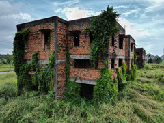 Cận cảnh khu đô thị ở Đồng Nai hoang tàn, cỏ mọc um tùm sau 28 năm quy hoạch