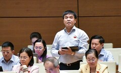 ĐBQH: Vốn điều lệ được 'phù phép', đánh tráo trong vụ FLC, Sài Gòn Đại Ninh 