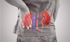 5 dấu hiệu vào buổi sáng của người thận khỏe 