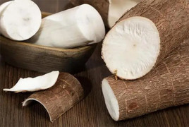 Vì sao chúng ta luôn phải gọt bỏ vỏ sắn trước khi nấu?