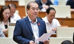 Đại biểu Quốc hội nhiều lần bị tội phạm mạng đe doạ, lừa đảo