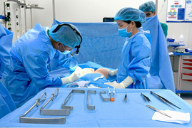 Xu hướng hạ size túi ngực sau nâng ngực một thời gian