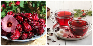 Các bài thuốc chữa bệnh từ cây bụp giấm