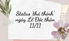 Status 'thả thính' hài hước cho Ngày lễ Độc thân 11/11