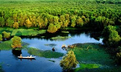 'Bỏ túi' trọn bộ kinh nghiệm khi du lịch rừng