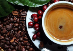 Giá cà phê hôm nay 14/11: Tiếp đà tăng, trong nước vượt 110.000 đồng/kg