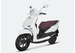 Bảng giá xe Latte mới nhất tháng 11/2024