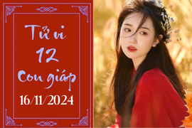Tử vi 12 con giáp hôm nay ngày 16/11/2024: Sửu nóng vội, Thìn phát triển