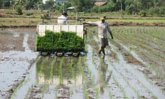 HTX nông nghiệp Tây Ninh: Động lực phát triển nông nghiệp và nông thôn bền vững