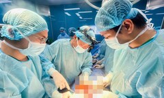 Hơn 18% tạng hiến không ghép được do ‘hồi sức chết não chưa tốt’