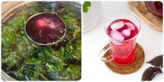 Uống nước tía tô mỗi ngày có tốt?