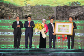 Bảo tồn, phát huy giá trị di sản của nền 'văn hóa Hòa Bình'