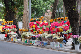 Sát ngày 20/11, hoa tươi tăng giá mạnh 