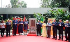 Thủ tướng dự lễ khánh thành, đặt biển kỷ niệm Chủ tịch Hồ Chí Minh tại Brazil