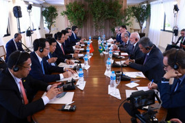 Tuyên bố chung Việt Nam - Brazil về việc nâng cấp quan hệ lên Đối tác chiến lược