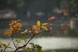 Dự báo thời tiết Hà Nội 10 ngày từ 19/11 và tin bão số 9 mới nhất