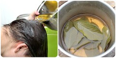 Gội đầu bằng nước lá ổi có tác dụng gì?