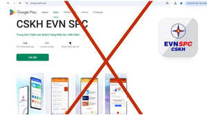 Xuất hiện trang web giả mạo Trung tâm CSKH Tổng công ty Điện lực miền Nam