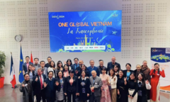 Kết nối tri thức, chuyên gia Việt Nam trong ASEAN