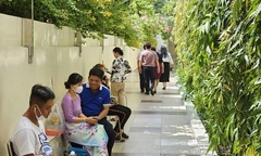 Bệnh viện Đại học Y Dược TP.HCM xây dựng mô hình y tế xanh