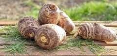Khoai môn ăn lẩu nên chọn củ nặng hay nhẹ?