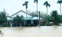 Nhiều nơi bị ngập sau mưa lớn kéo dài, Quảng Ngãi di dời dân