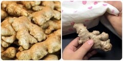 Đặt gừng dưới gối có tác dụng gì?