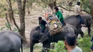 'Đội cứu hộ' chuyên nghiệp giúp người mắc kẹt trên núi ở Thái Lan 