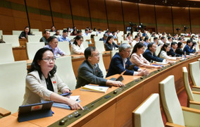 Quốc hội 'chốt' áp thuế VAT 5% đối với phân bón