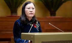 Có việc quan chức móc nối, hướng dẫn doanh nghiệp 'lách luật'