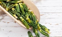 8 bài thuốc điều trị mất ngủ từ cây thuốc dân gian