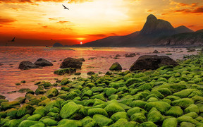 Bà Rịa - Vũng Tàu 'vượt sóng' thành điểm đến du lịch quốc gia và quốc tế