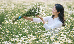 Thời tiết ngày 28/11: Miền Bắc tăng nhiệt, hửng nắng sau hai ngày rét bao trùm
