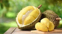 Cách nhận biết sầu riêng đã chín