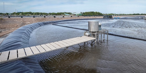 Giải pháp AI trong nuôi tôm: Giảm phát thải khí mê - tan cho môi trường bền vững