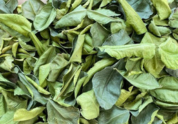 Loại lá được ví như 'tiên dược', người Việt thường dùng mà không biết công dụng