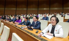Quốc hội thông qua quy định cải cách cơ chế giá điện, sắp xóa bỏ bù chéo