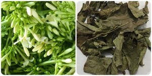 Công dụng của xạ đen và hoa đu đủ đực 